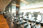 Majestic Princess Gallery Image